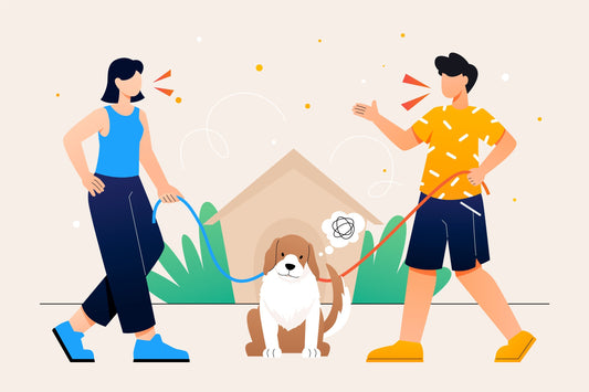 How often should you walk your dog?