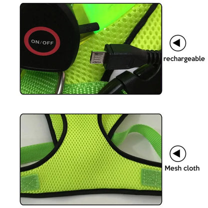 LED Dog Harness for Night Walks