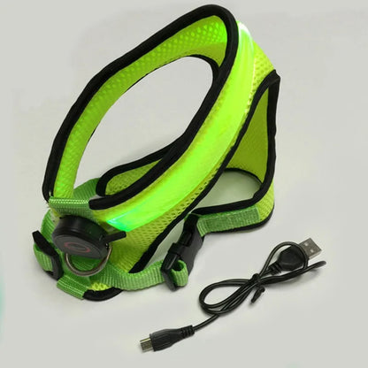 LED Dog Harness for Night Walks