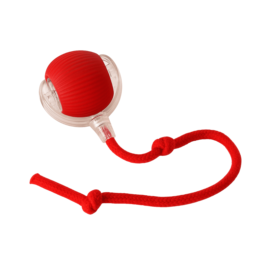 Interactive Cat Toy Ball Super Drive Cat Rolling Ball