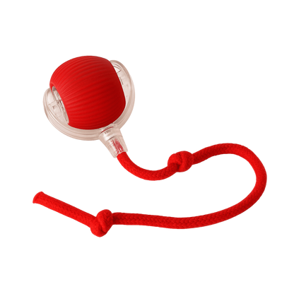 Interactive Cat Toy Ball Super Drive Cat Rolling Ball