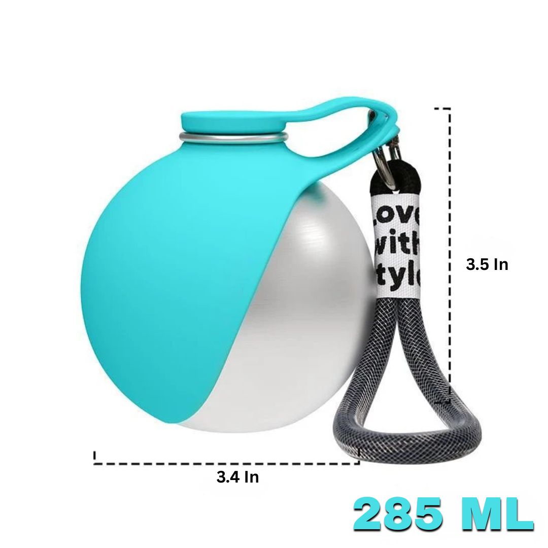 Stainless Steel Dog Water Bottle With Clip