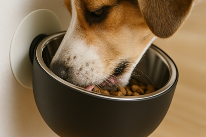 Magnetic Pet Bowl With Adjustable Angle
