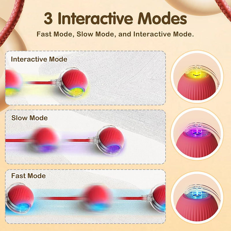 Interactive Cat Toy Ball Super Drive Cat Rolling Ball