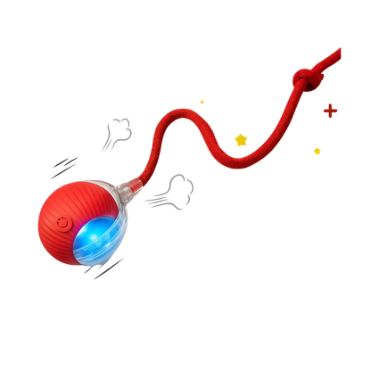 Interactive Cat Toy Ball Super Drive Cat Rolling Ball