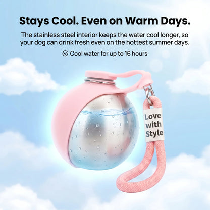 Stainless Steel Dog Water Bottle With Clip