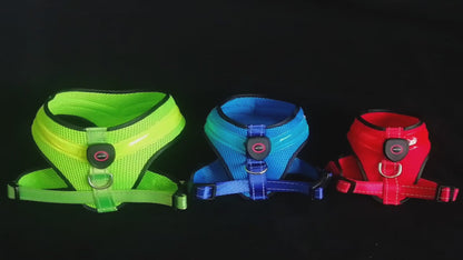 LED Dog Harness for Night Walks
